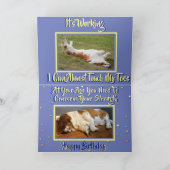 Grappige Oefening Verjaardag Kaart w / Schattigee  (Binnen)