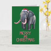 Grappige Olifant Kerstvakantie Kaart (Gele Bloem)
