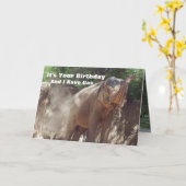 Grappige olifant met gas verjaardag Kaart (Gele Bloem)