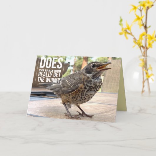 Grappige omslagtekst Vogel Foto Groet Kaart (Gele Bloem)