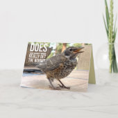 Grappige omslagtekst Vogel Foto Groet Kaart (Voorkant)