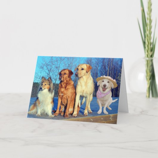 Grappige One of a Kind Lab Verjaardag Kaart (Voorkant)