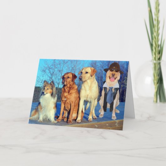 Grappige One of a Kind Lab Verjaardag Kaart (Voorkant)