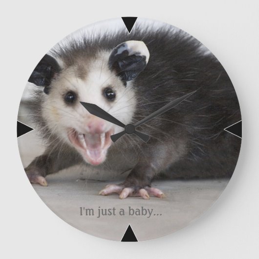 grappige opossum foto aanpasbare natuur muur klok (Voorkant)