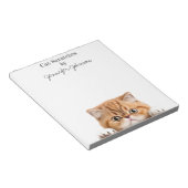 Grappige Oranje Gember Tabby Kat Notitieblok (Schuin)
