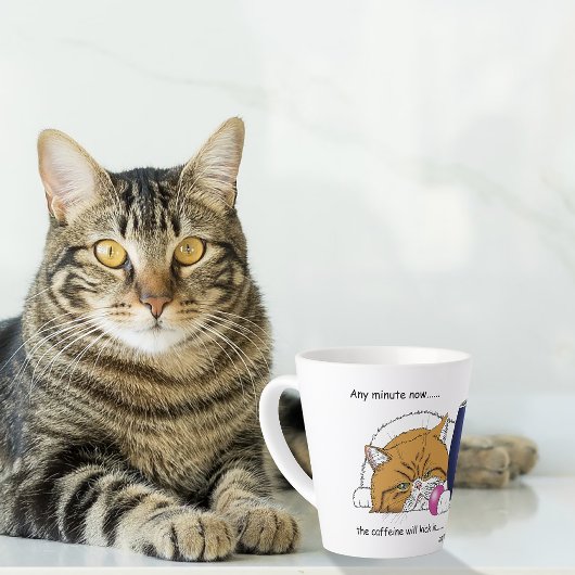 Grappige Oranje Kat Blauwe Koffiemok Latte Mok