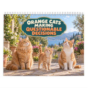 Grappige Oranje Katten Die Twijfelachtige Beslissi Kalender