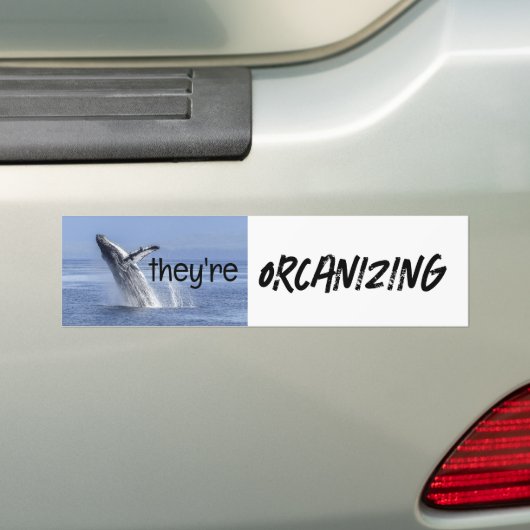 Grappige ORCA Killer Whale Meme Joke Bumpersticker (Op auto)