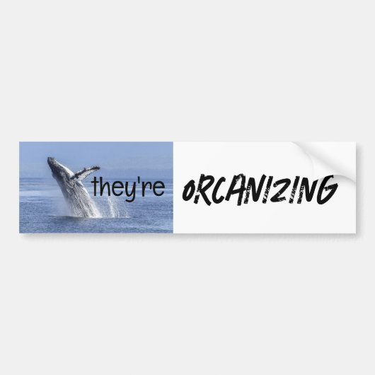 Grappige ORCA Killer Whale Meme Joke Bumpersticker (Voorkant)