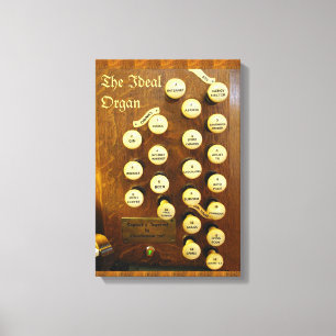 Grappige orgel canvas afdruk