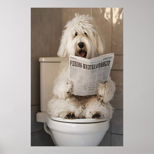 Grappige Oude Engelse Schapendoek Badkamer Print, Poster (Voorkant)