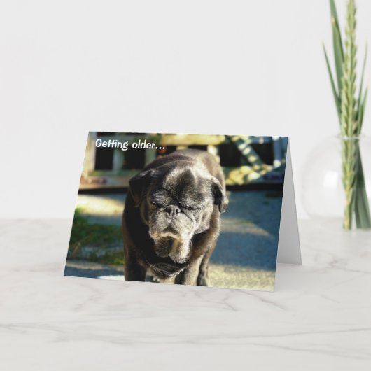 Grappige Oude Zwarte Mopshond Verjaardag Kaart (Voorkant)