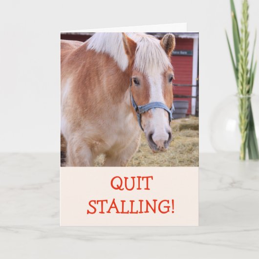 Grappige paard grap woordspeling kaart voor beters (Voorkant)