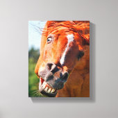 Grappige paard lachfoto canvas afdruk (Voorkant)