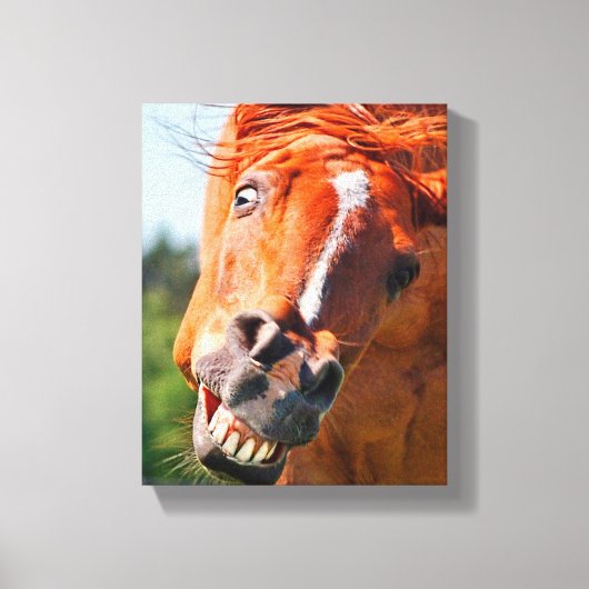Grappige paard lachfoto canvas afdruk (Voorkant)