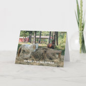 Grappige paardenliefhebber verjaardag kaart (Voorkant)