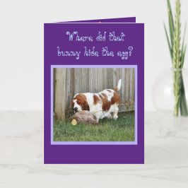 Grappige paashond met Basset Hound, Bunny en Kaart