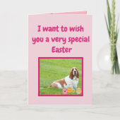 Grappige paashond met Basset Hound in "Bunny Suit" Feestdagen Kaart (Voorkant)