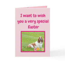 Grappige paashond met Basset Hound in "Bunny Suit"