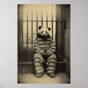 Grappige Panda Gevangenis Print Vintage Dier Foto