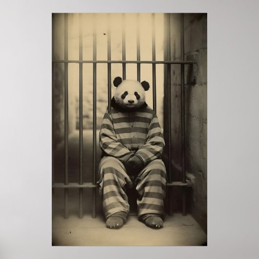 Grappige Panda Gevangenis Print Vintage Dier Foto (Voorkant)