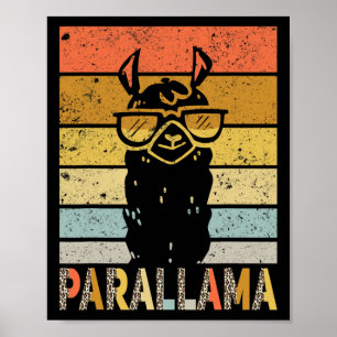 Grappige Paraprofessionele Leraar Para Speciaal On Poster
