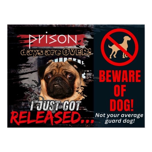 Grappige Pas Op Voor De Hond Poster – Bewakingshon (Voorkant)