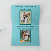 Grappige Pasen Basset Hound op de Kaart van Pasen (Binnen)