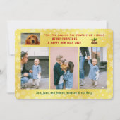 Grappige passieve hond kat 4 foto's minimalistisch feestdagenkaart (Voorkant)