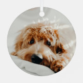 Grappige Paw print 2 foto Pet Christmas Metalen Ornament (Achterkant)