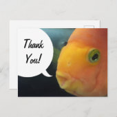 Grappige Peekaboo Vis Bedankt Briefkaart (Voorkant / Achterkant)