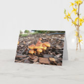 GRAPPIGE PENSIOEN KAART (Gele Bloem)