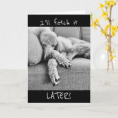 Grappige pensioenaankondiging met vermoeide poedel kaart (Gele Bloem)