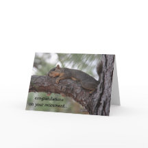 Grappige pensioenkaart, Resting Squirrel