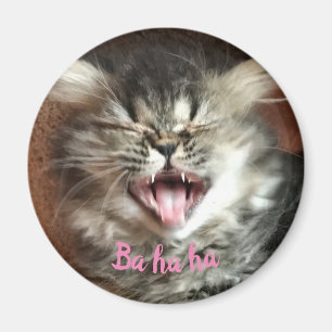 Grappige Perzische kat die humoristische grijze ki Magneet