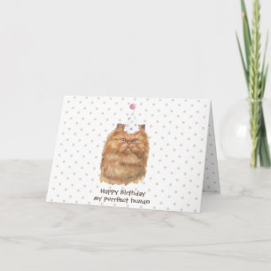 Grappige Perzische Kat met Feestmuts Kaart