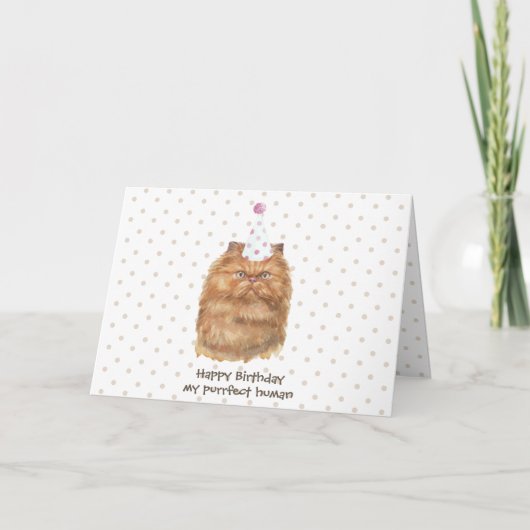 Grappige Perzische Kat met Feestmuts Kaart (Voorkant)