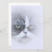 grappige perzische kat met grote ogen (Voorkant / Achterkant)