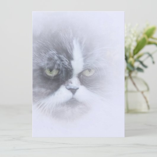 grappige perzische kat met grote ogen (Staand voorkant)