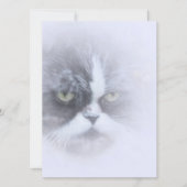 grappige perzische kat met grote ogen (Voorkant)