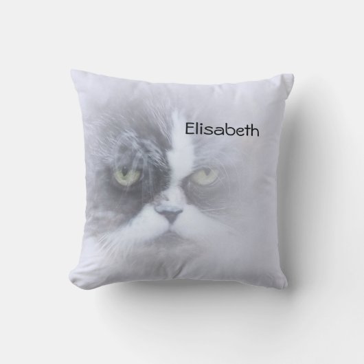 grappige perzische kat met grote ogen gooien kusse kussen (Voorkant)
