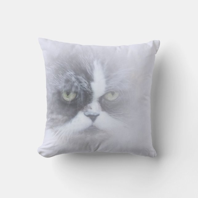 grappige Perzische kat met grote ogen Kussen (Voorkant)