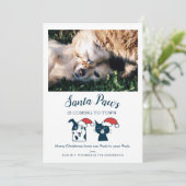 Grappige Pet Foto Santa Paws Kat Hond Kerstmis Feestdagenkaart (Staand voorkant)