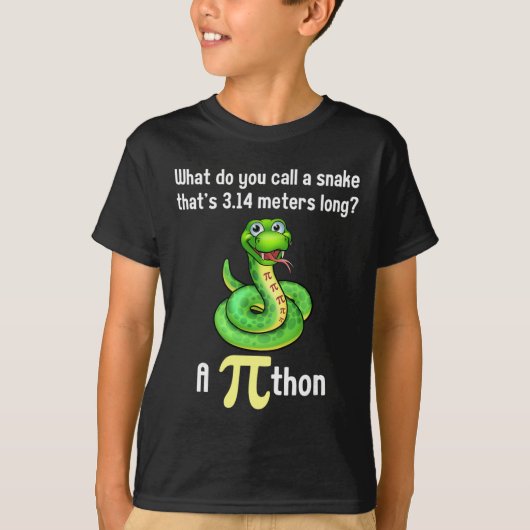 Grappige Pi-dag Puns Pithon Wiskunde Leraar Grappe T-shirt (Voorkant)