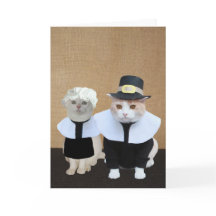 Grappige Pilgrim Cats Thanksgiving Kaart