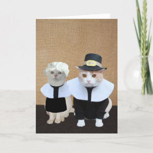 Grappige Pilgrim Cats Thanksgiving Kaart