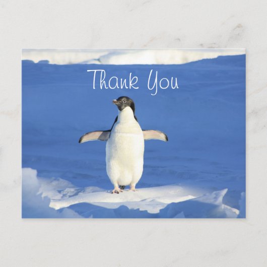 Grappige Pinguïn Bedankt Briefkaart (Voorkant)