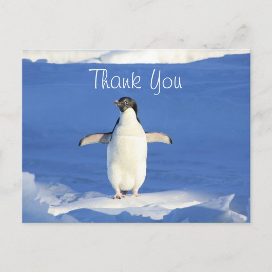 Grappige Pinguïn Dank Je Briefkaart (Voorkant)