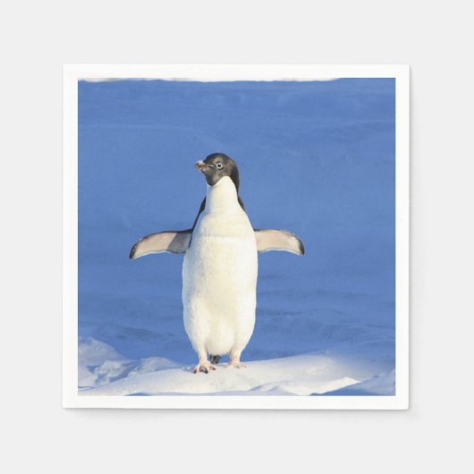 Grappige pinguïn op ijs servet (Voorkant)