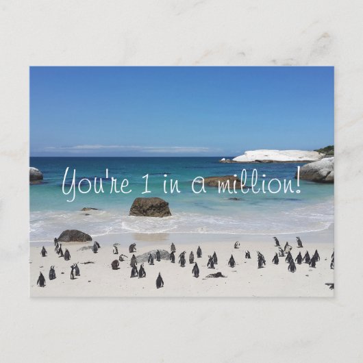 Grappige Pinguïns Bedankt Briefkaart (Voorkant)